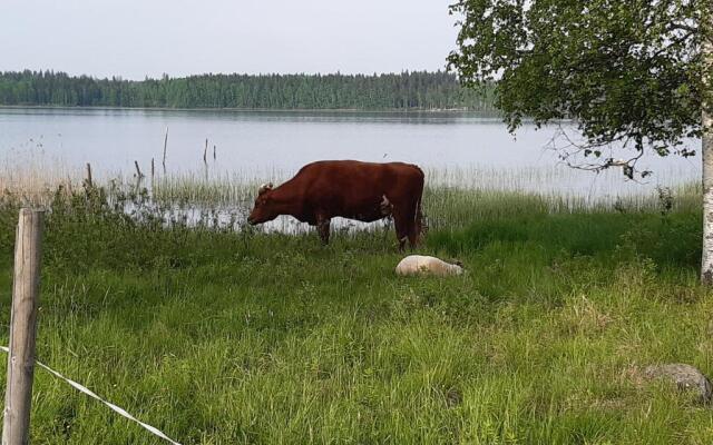 Hyvölän Mökit