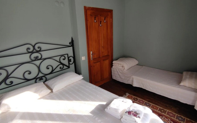 Torrhebia Dag Evi