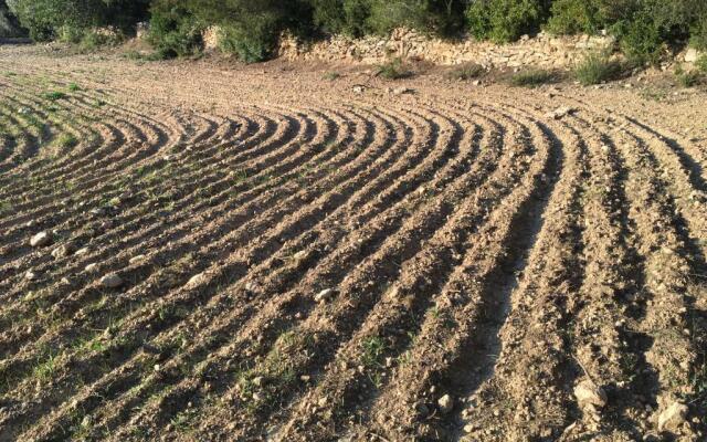 Casa con gran jardín cerca de la playa - 5 personas