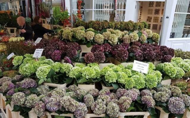 Beautiful 1 Bedroom With Balcony Near Mile End