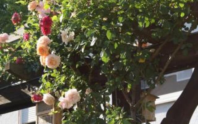 Weingut Gästehaus Rummel