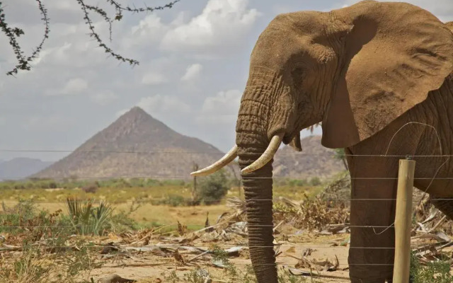 Samburu Lodge