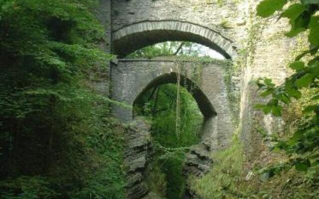 Broncoedwig Devil's Bridge