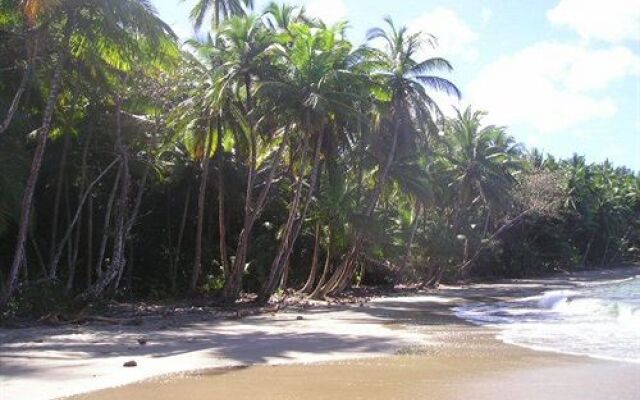 Dominica's Sea View Apartment