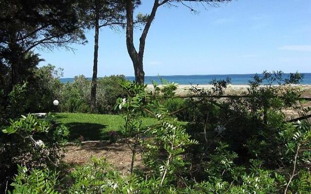Mirto E Mare