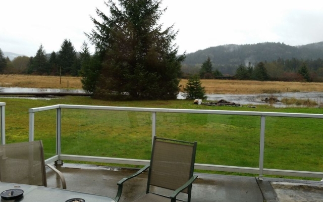 Sayward On Sea