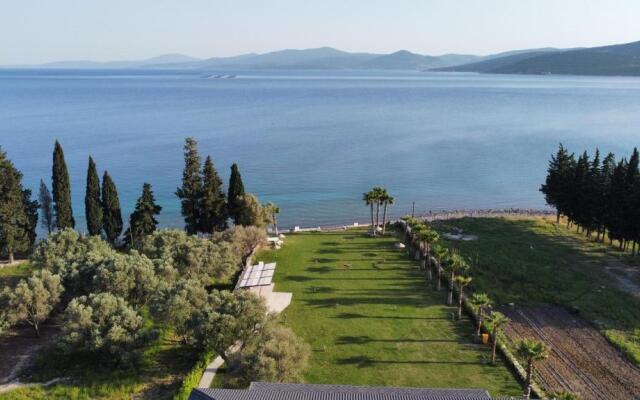 Olive Beach Residence