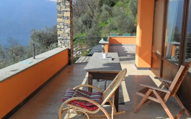 Exclusive Villa Olives Tree