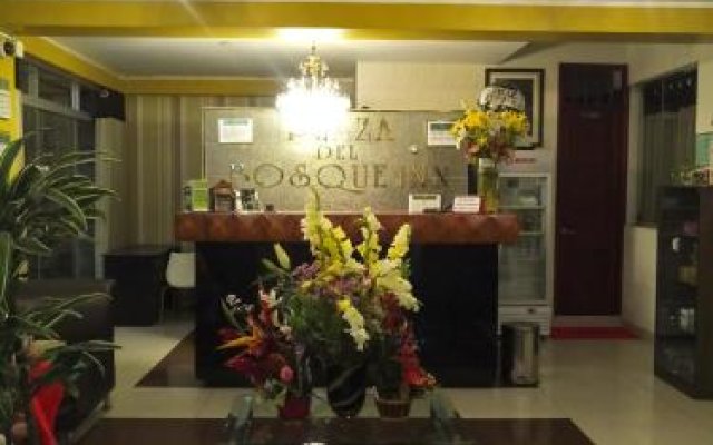 Hotel Plaza Del Bosque Inn