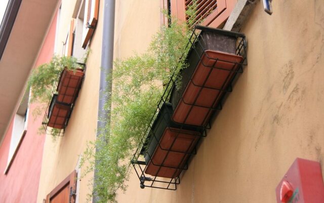 Modena