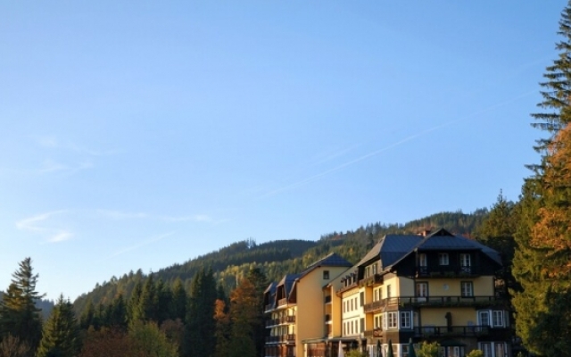 Alpenhotel Gösing