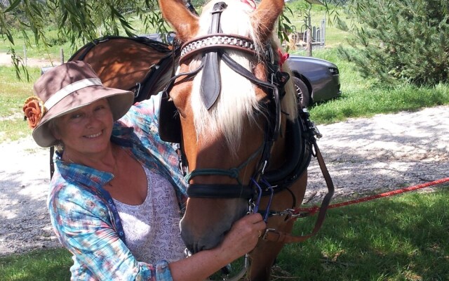 Chambre d'hôtes La Duzonne