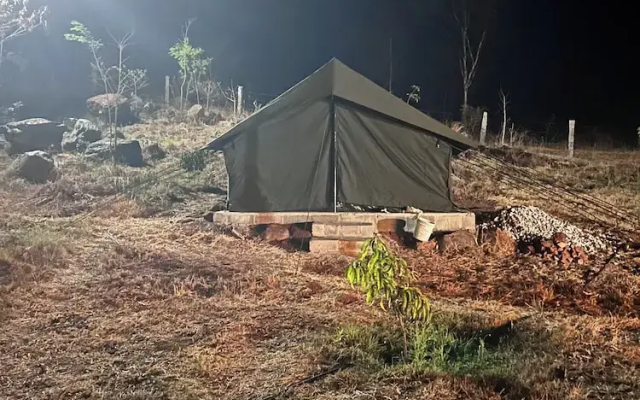 Wilderness Jungle Camp