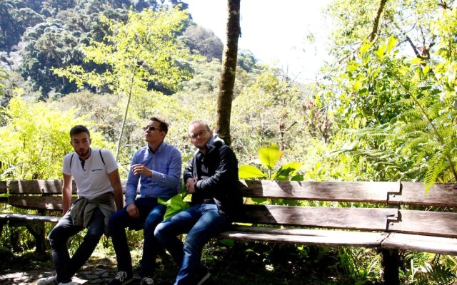 Los Quetzales Ecolodge & Spa