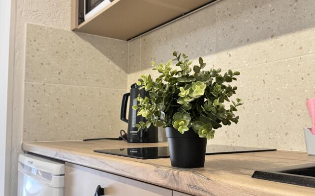 Солнце Тургенева