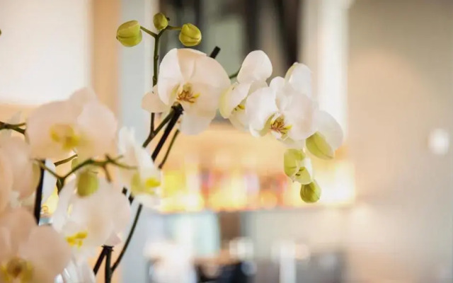 Heuboden Hotel Heu.Loft Freiburg