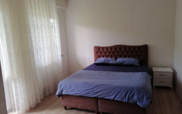 Kasustu Home
