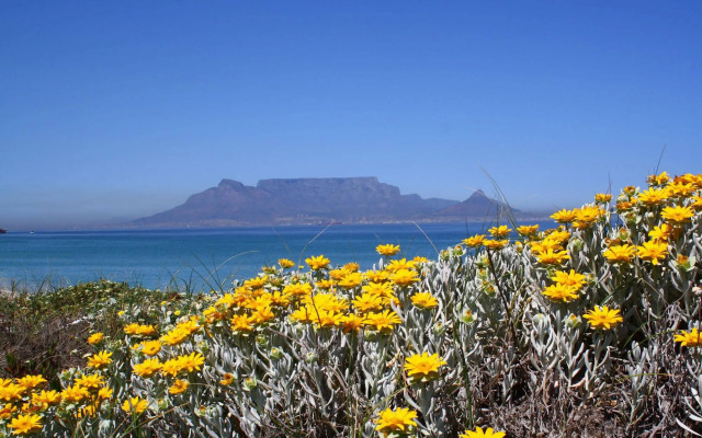 Bloubergstrand Sunset Lodge