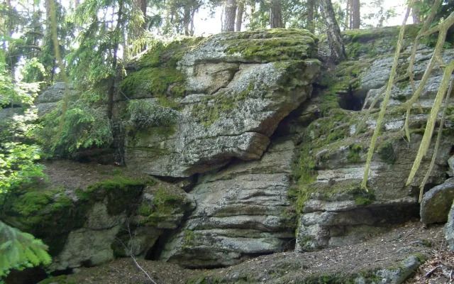 Bauernhof Familie Tauber-Scheidl