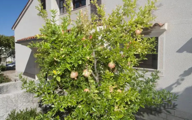 Apartments Anci