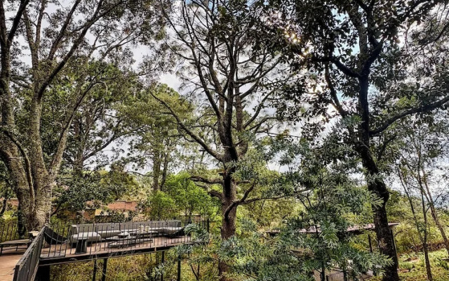 Serenzzo Hotel & Cuisine