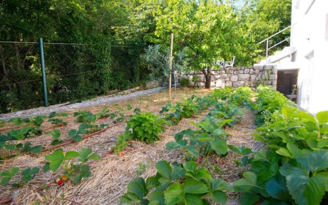 Organic Gardens Villa