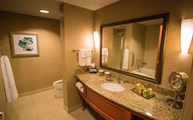 Hilton St. Petersburg Carillon Park