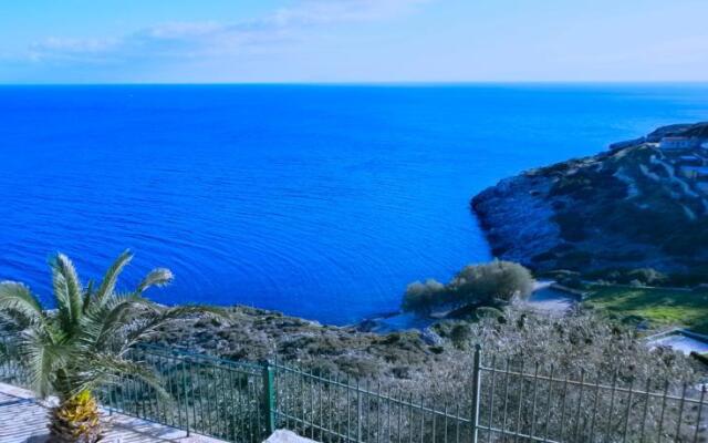 Agnantio