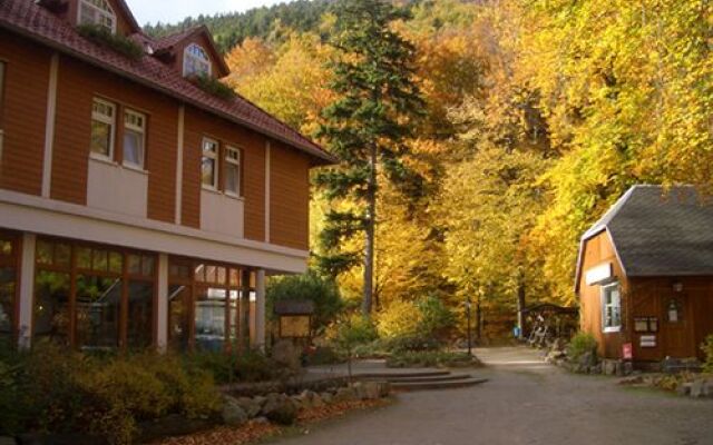 Kurpark-Hotel Im Ilsetal