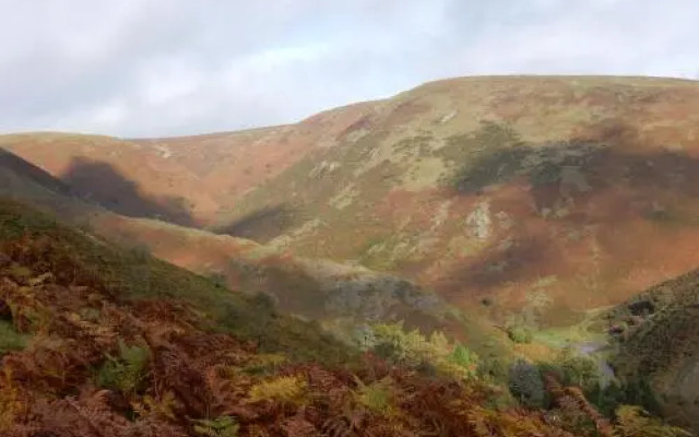 The Farm Snead Bed & Breakfast