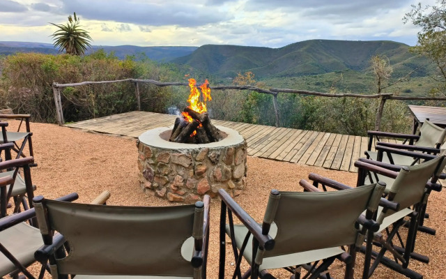 Camp Figtree