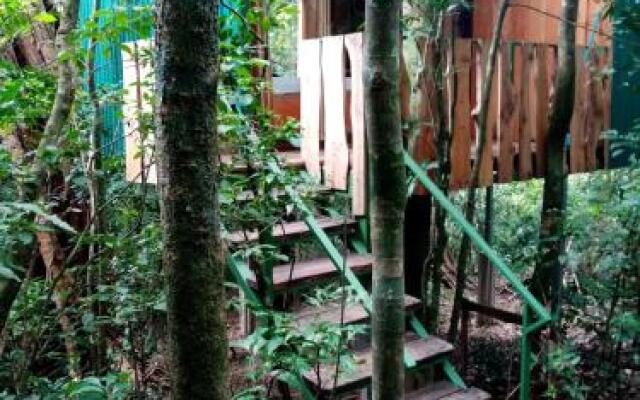 The Green Tree Lodge