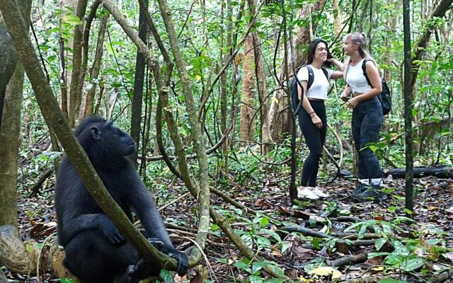 Tangkoko Jungle Homestay By OYO