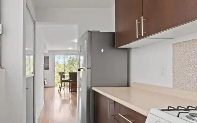 Spacious Apt Near Centro Historico