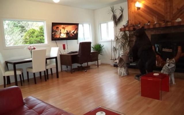 Enchanted Rainforest Guesthouse