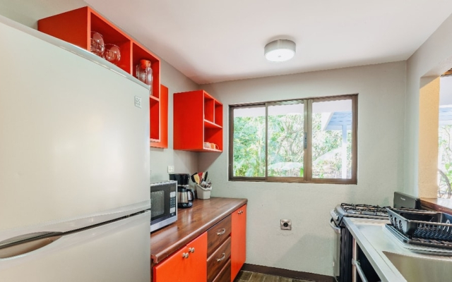 Relaxing Sound of River Birds Squirrels