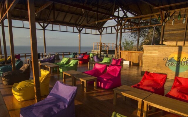 One Tree Hill - Hostel