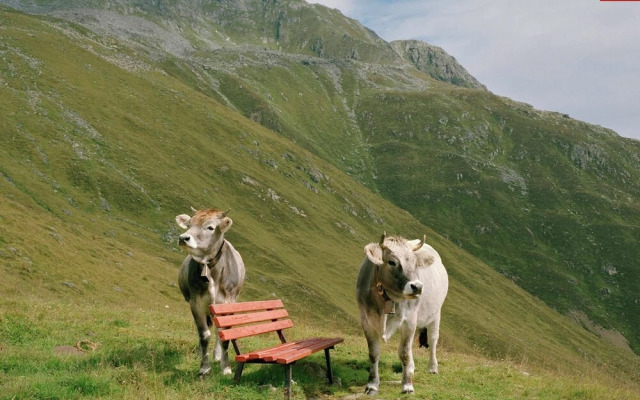 Tasteful Apartment in Schwoich Tyrol With Garden