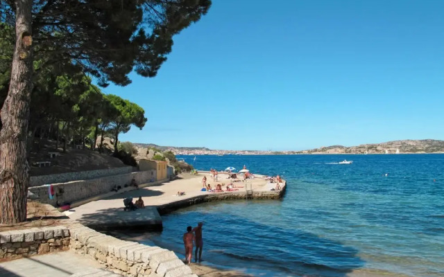 Mimosa Punta Sardegna