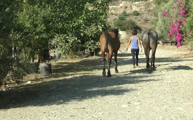 Cyprus Villages