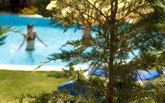 Beautiful Villa With Swimming Pool