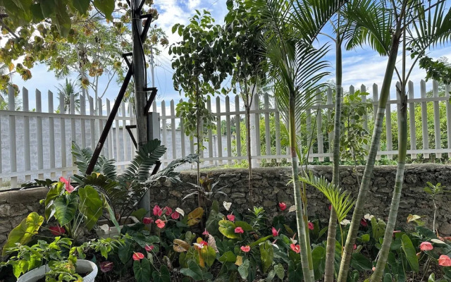 Moalboal Casablanca Inn