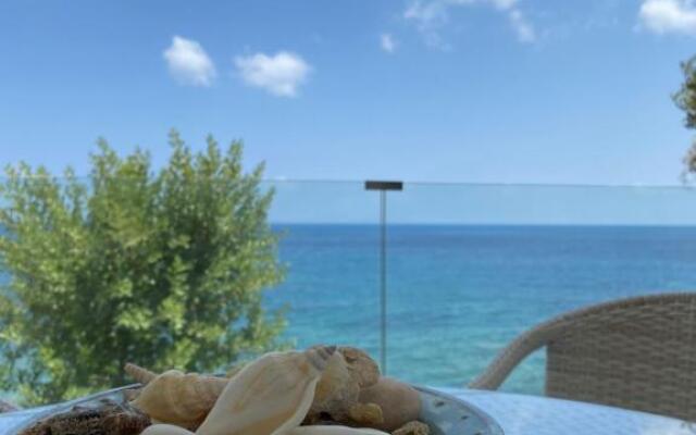Beautiful House in Front of the Sea