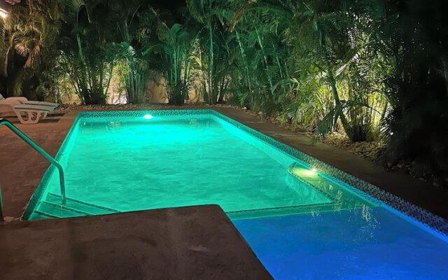 Palm BlossomJA Manor