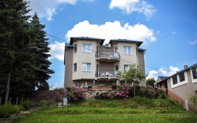 Vila Izvor
