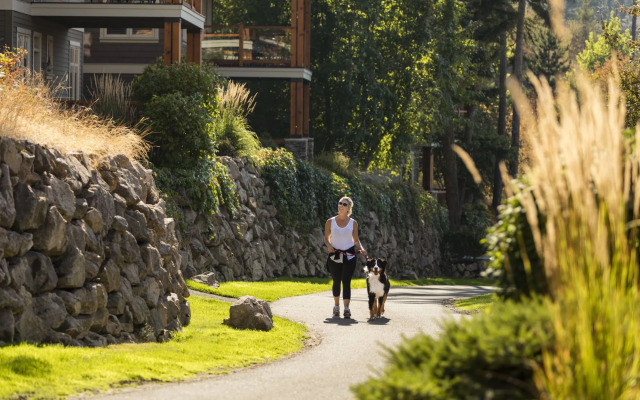 Predator Ridge Resort