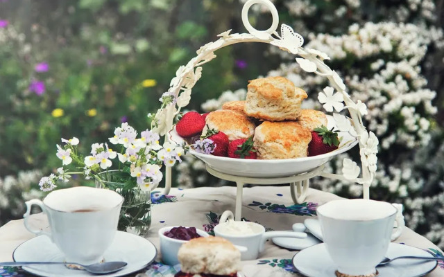 Amã Stays & Trails Heavens Ledge, Yercaud