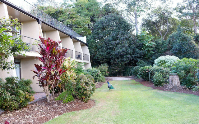Mt Tamborine Motel