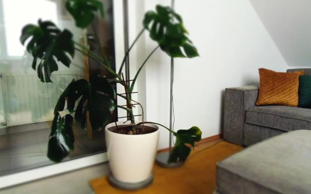 Apartman Katarina