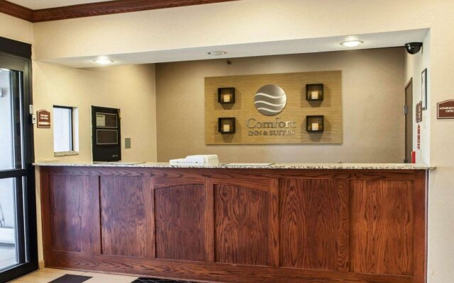 Comfort Inn & Suites Muncie Near University